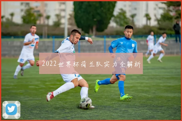 2022世界杯荷兰队实力全解析