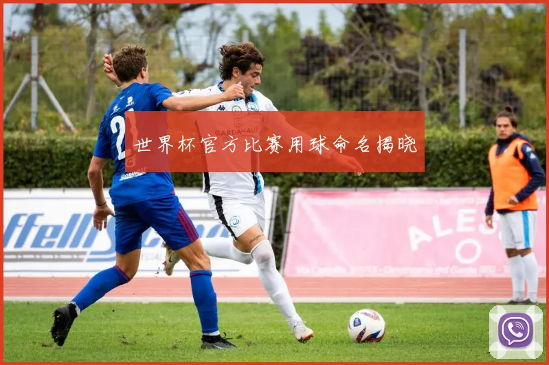 世界杯官方比赛用球命名揭晓