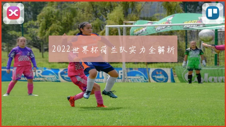 2022世界杯荷兰队实力全解析