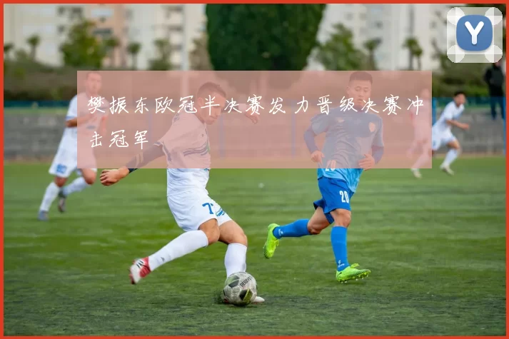 樊振东欧冠半决赛发力晋级决赛冲击冠军