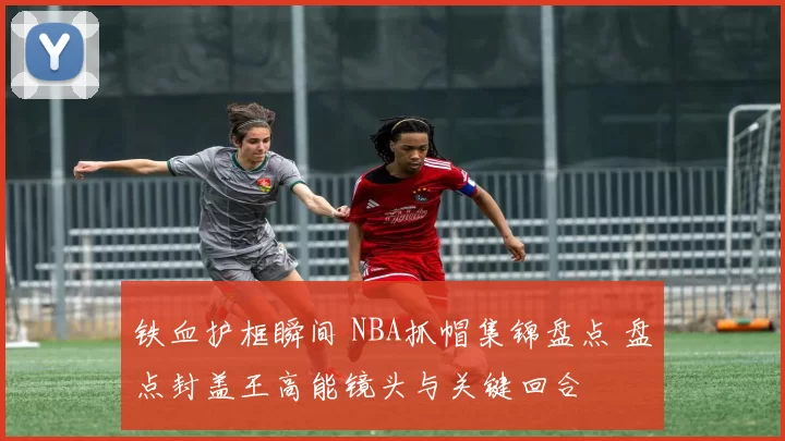 铁血护框瞬间 NBA抓帽集锦盘点 盘点封盖王高能镜头与关键回合